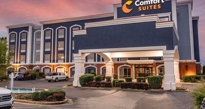 Comfort Suites Olive Branch - Memphis South