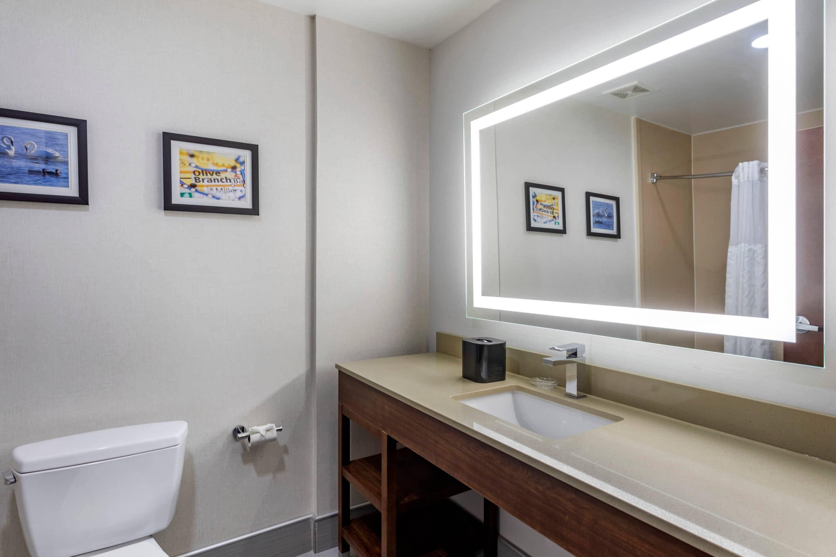 A bathroom with a toilet, sink, and mirror. There are framed pictures on the wall.