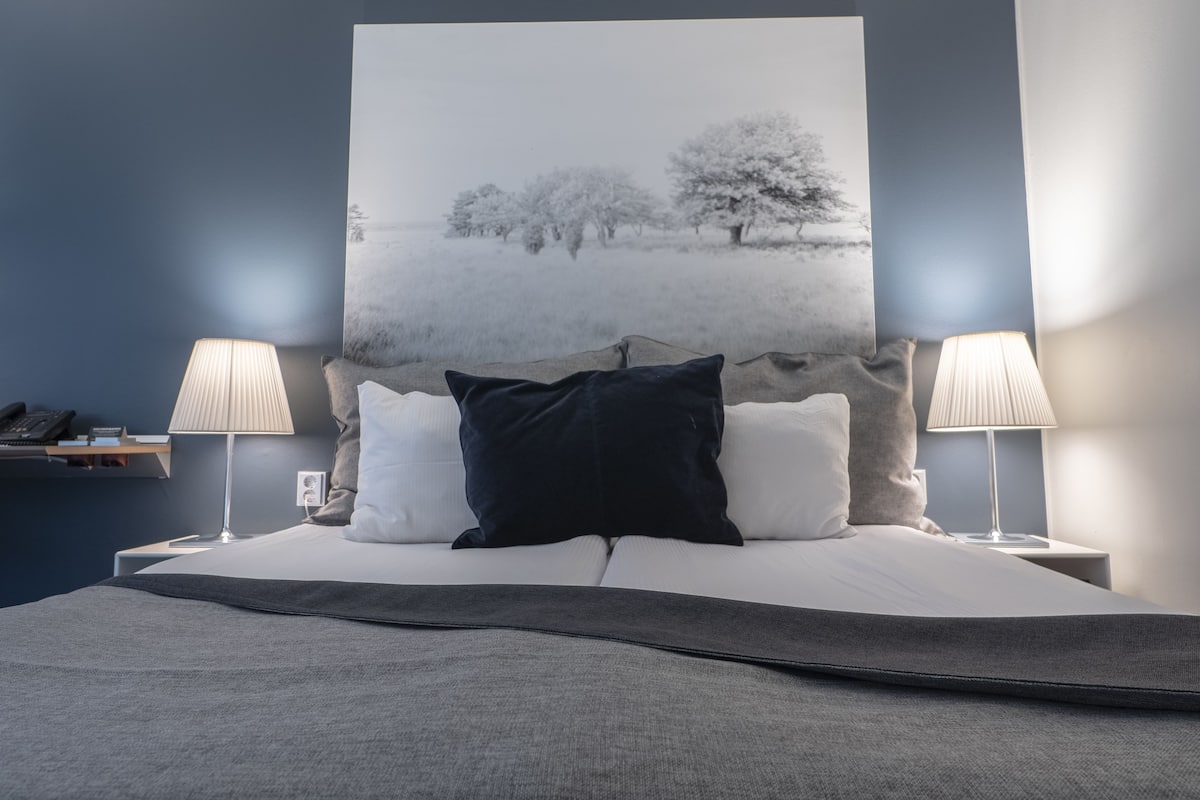 Hypo-allergenic bedding, down comforters, minibar, in-room safe