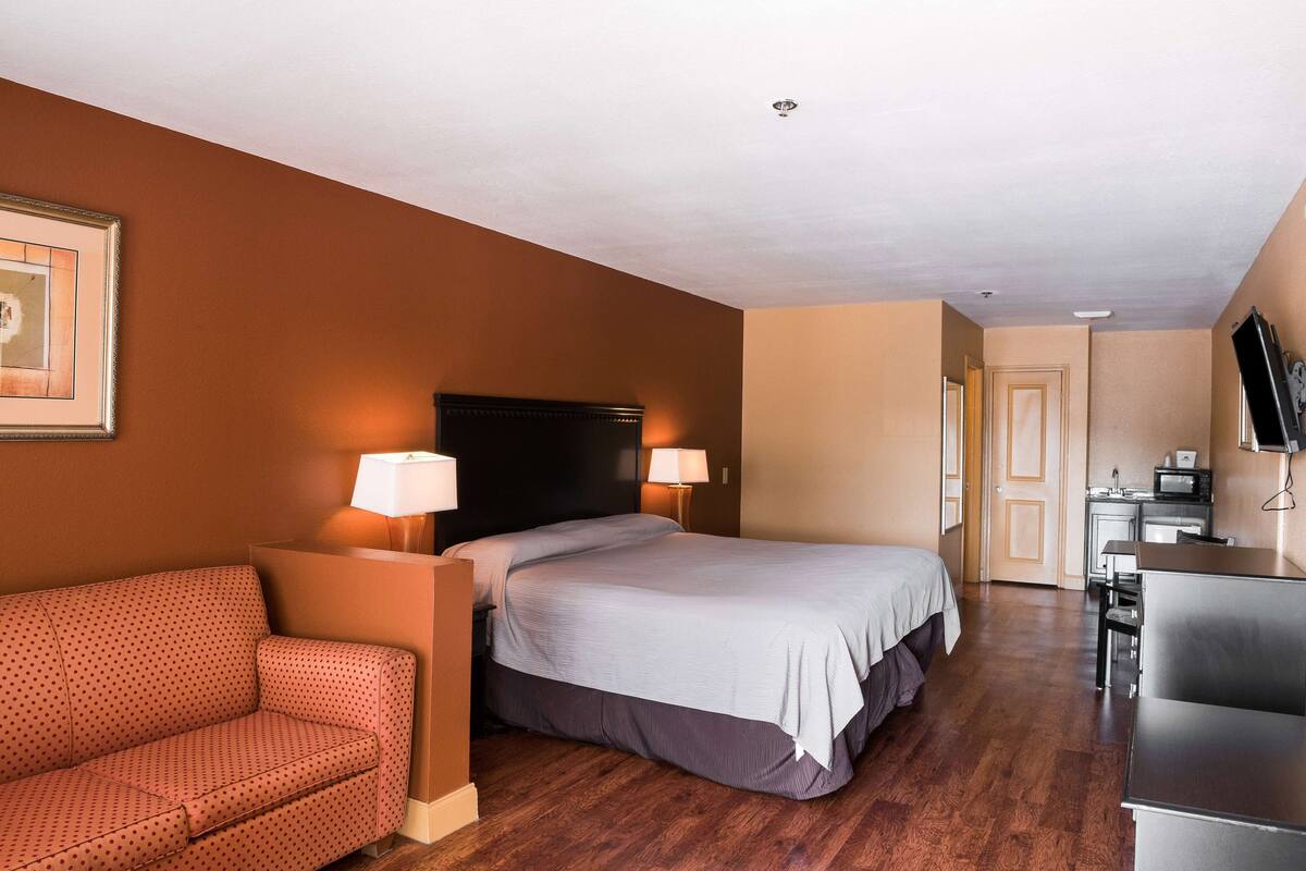 A hotel room with a bed, a sofa, a desk, and a television.