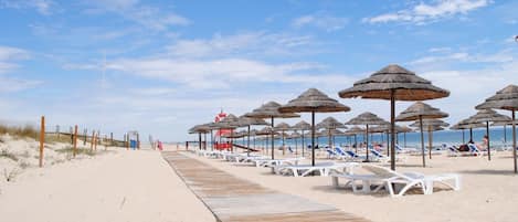 Playa en los alrededores, playa de arena blanca y vóleibol de playa 