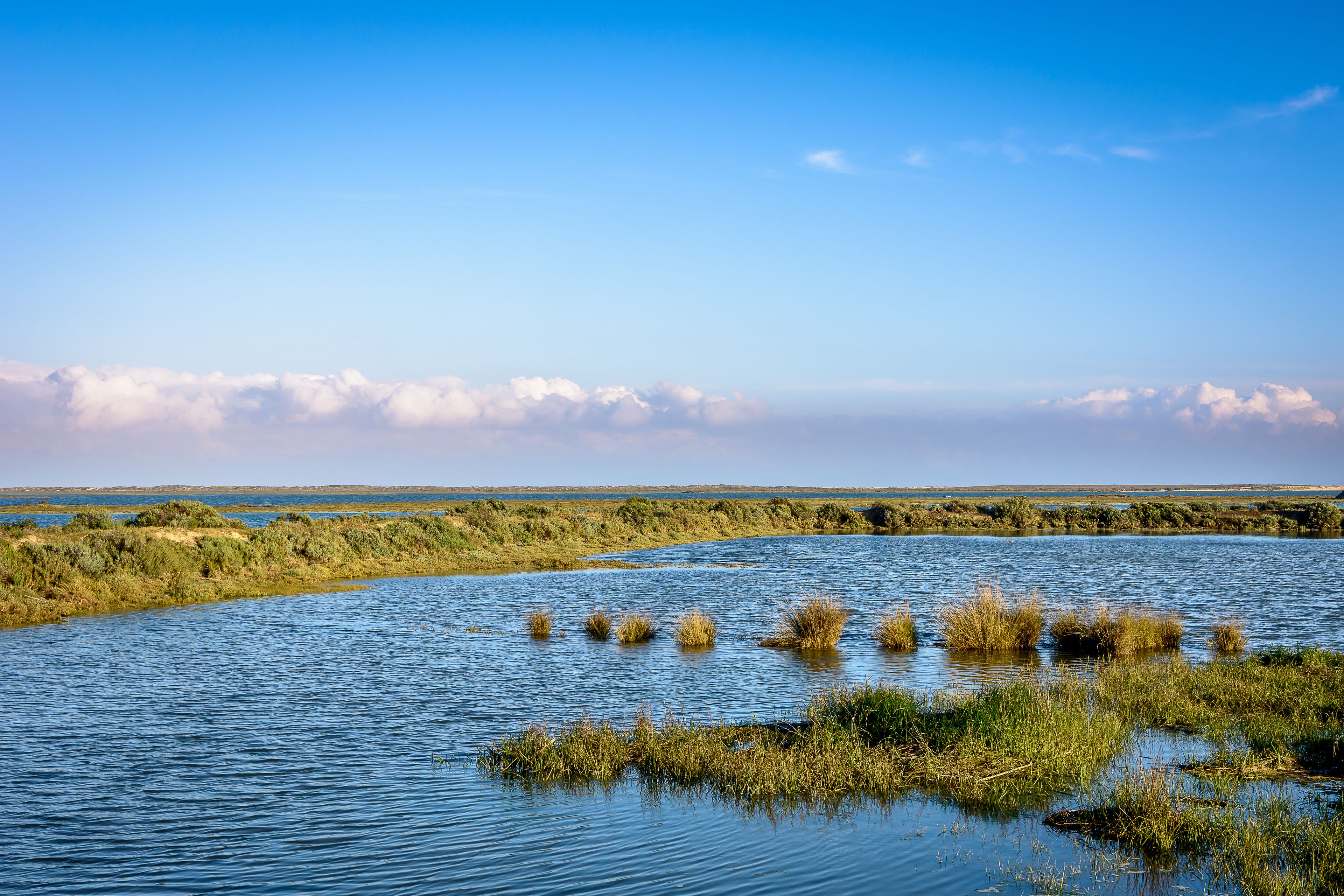 Een rustige rivier met grasoevers en een heldere lucht.