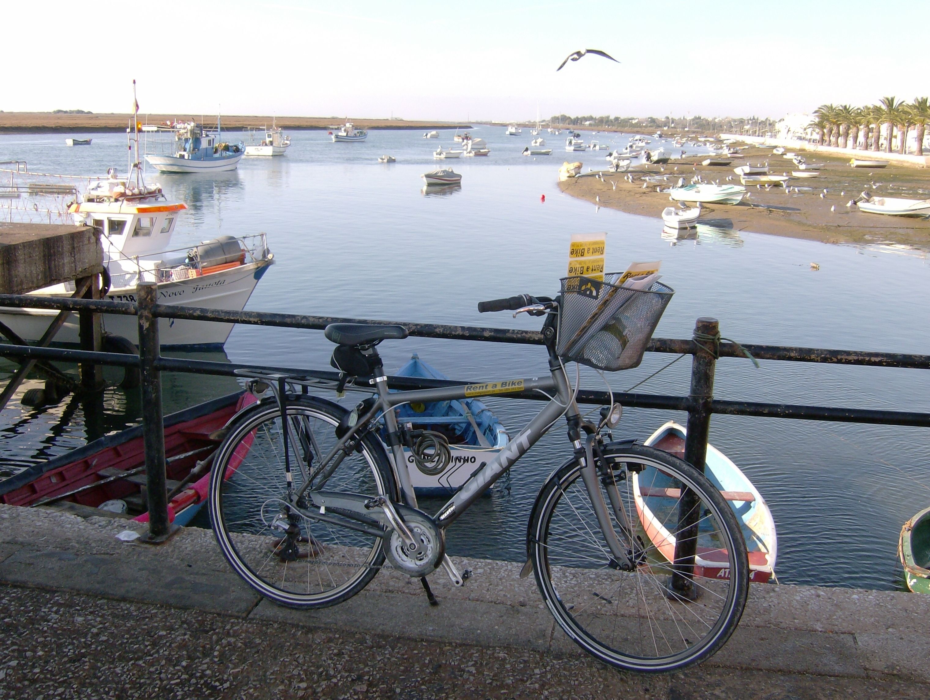 A bicycle parked by a waterfront with boats and a bird flying overhead.