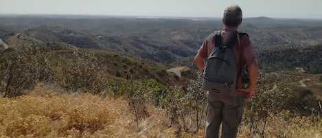 Una persona de pie en una colina con vistas a un valle cubierto de pasto seco y vegetación escasa.