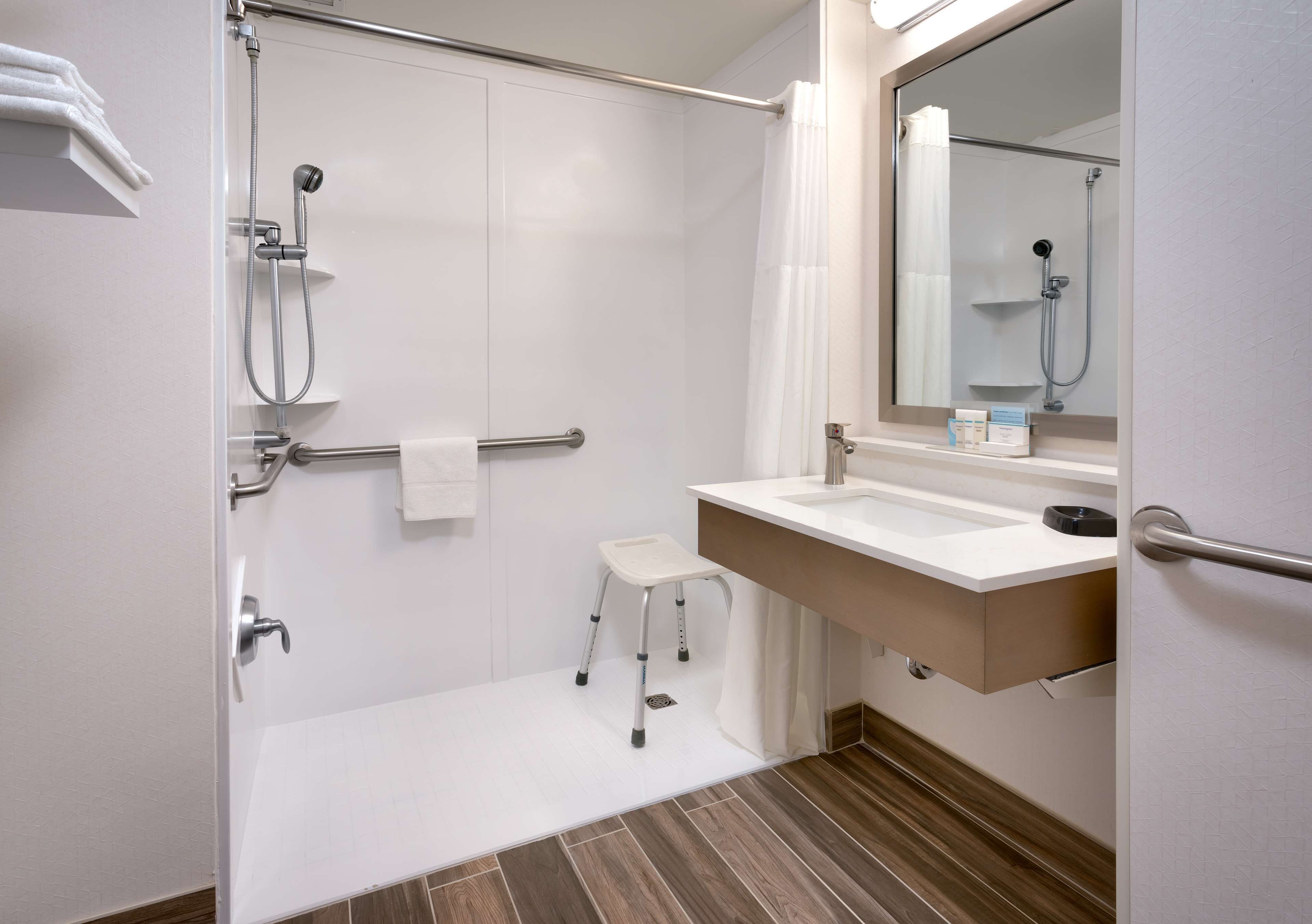 room, 1 king bed, accessible, non smoking | bathroom shower