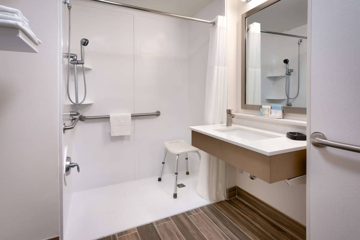 room, 1 king bed, accessible, non smoking | bathroom shower