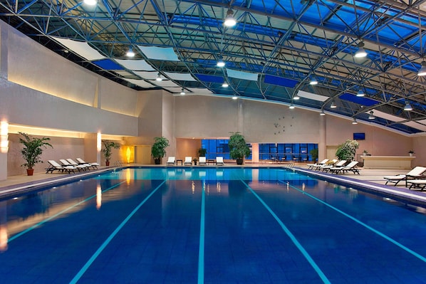Une piscine intérieure avec des couloirs bien délimités, des chaises longues et des plantes en pot.