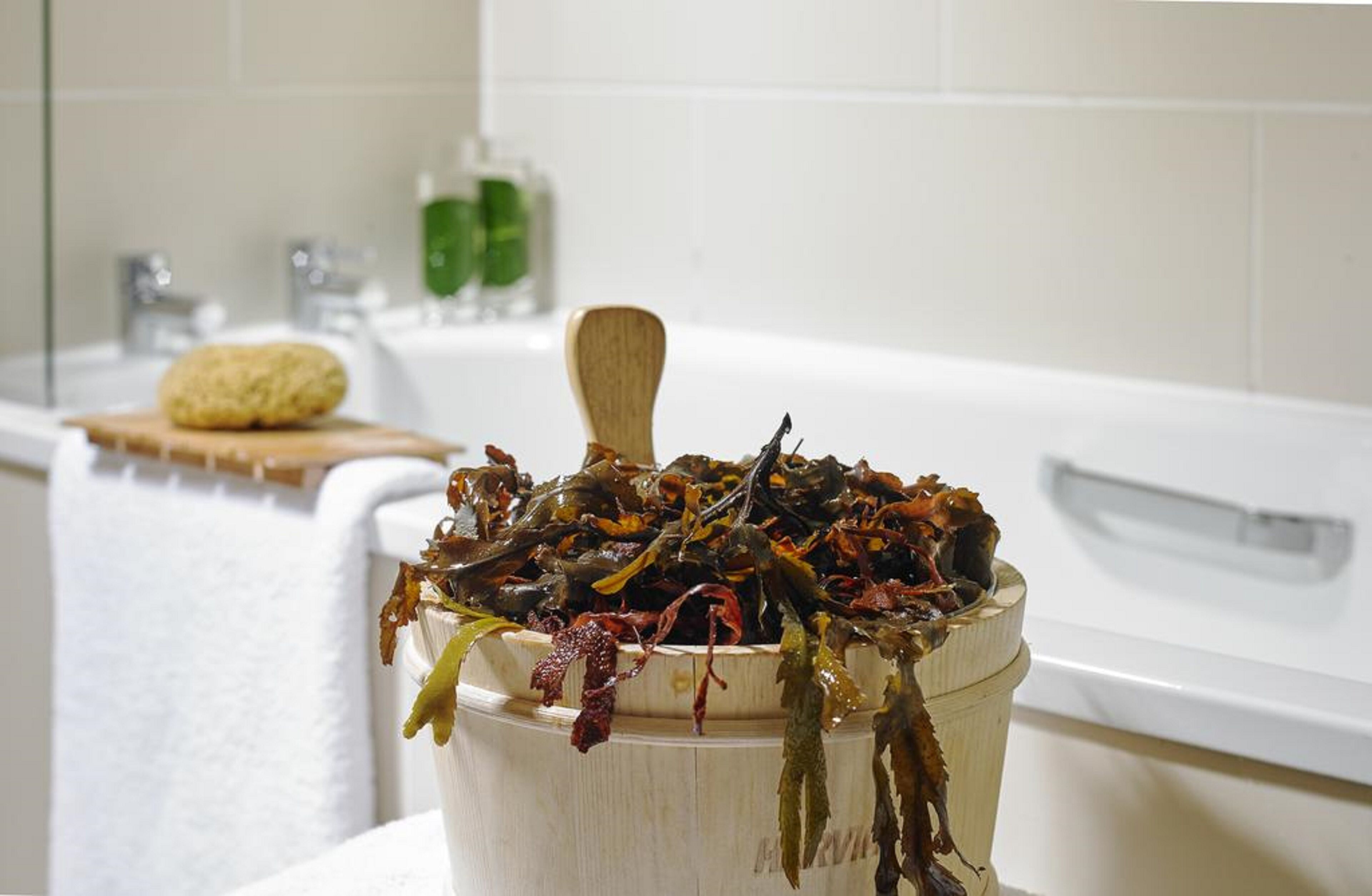 free daily full breakfast