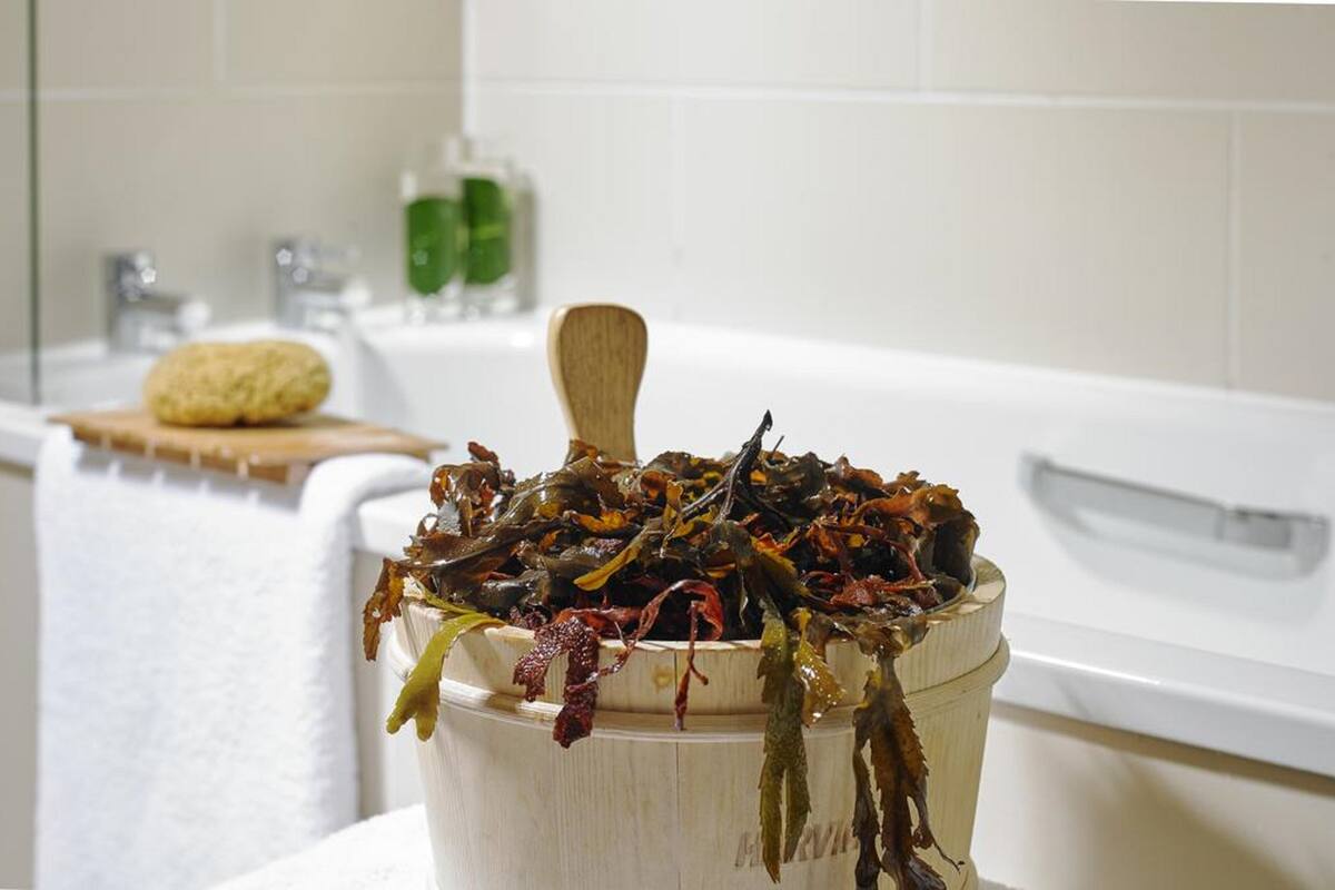 free daily full breakfast