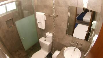 A modern bathroom with a glass-enclosed shower, a toilet, a sink, and a mirror.