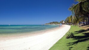 Une plage à l’eau turquoise et limpide, bordée d’un rivage sablonneux et d’une rangée de palmiers.