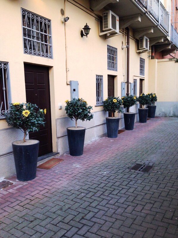 A row of potted plants with sunflowers on a brick-paved street.