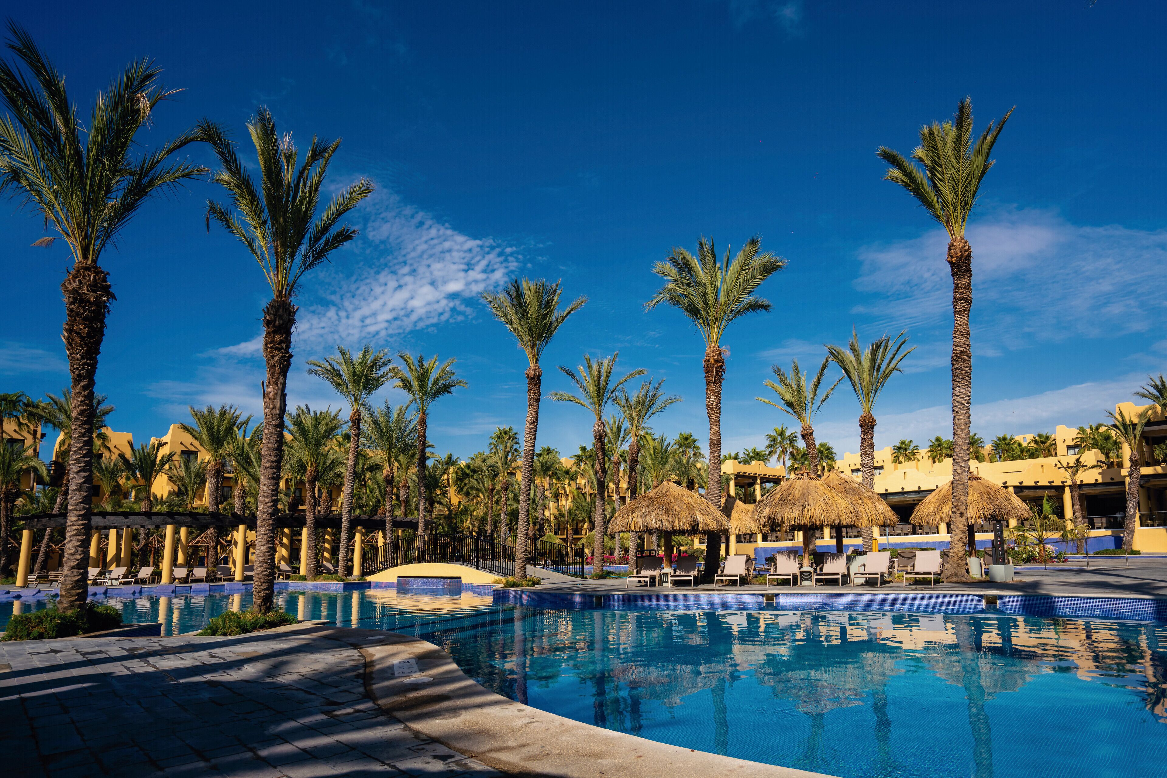 Zona de piscina en un resort con palmeras y sombrillas de paja, rodeada de sillas de descanso y un cielo azul despejado.