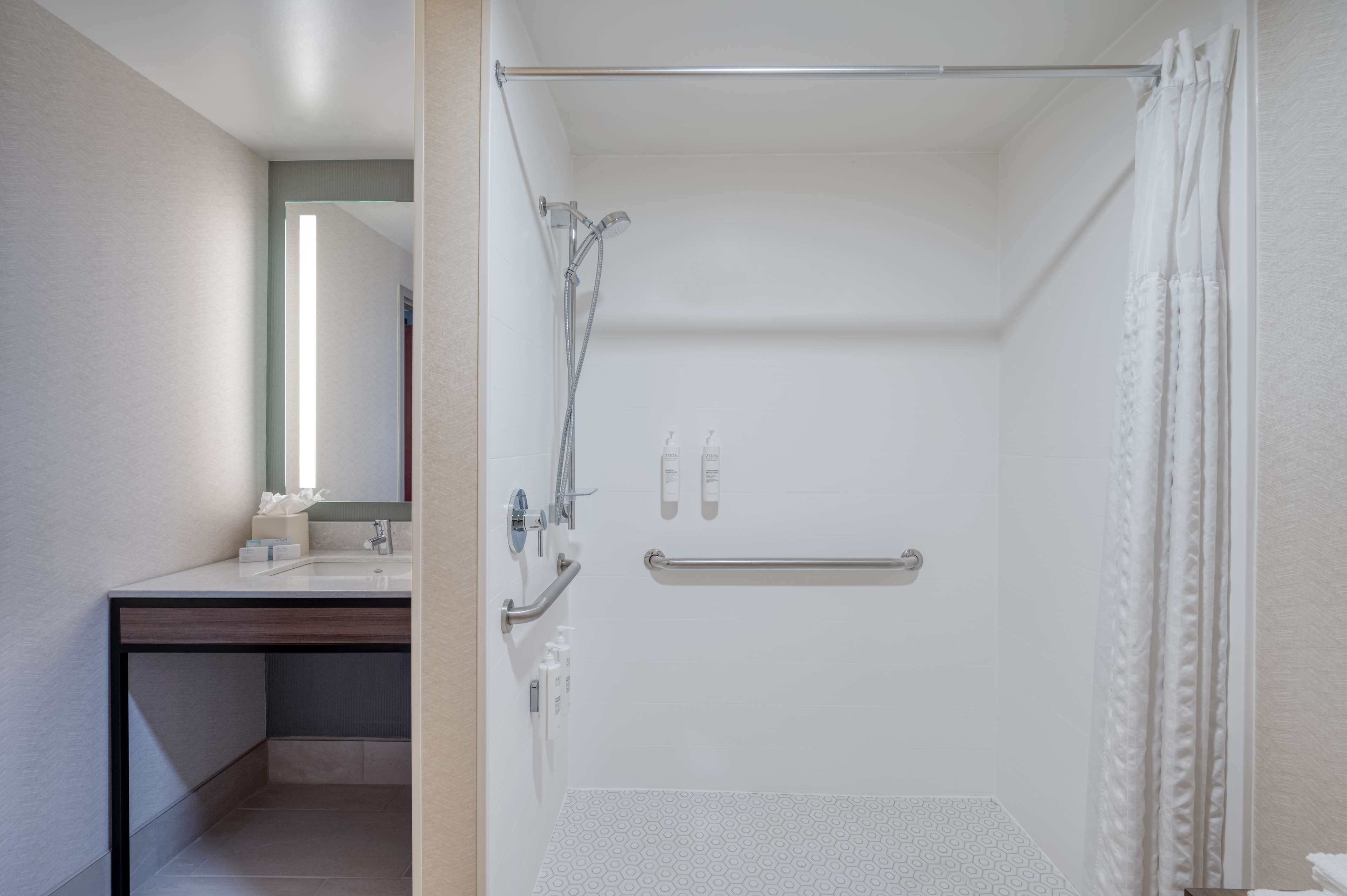 room, accessible | bathroom shower