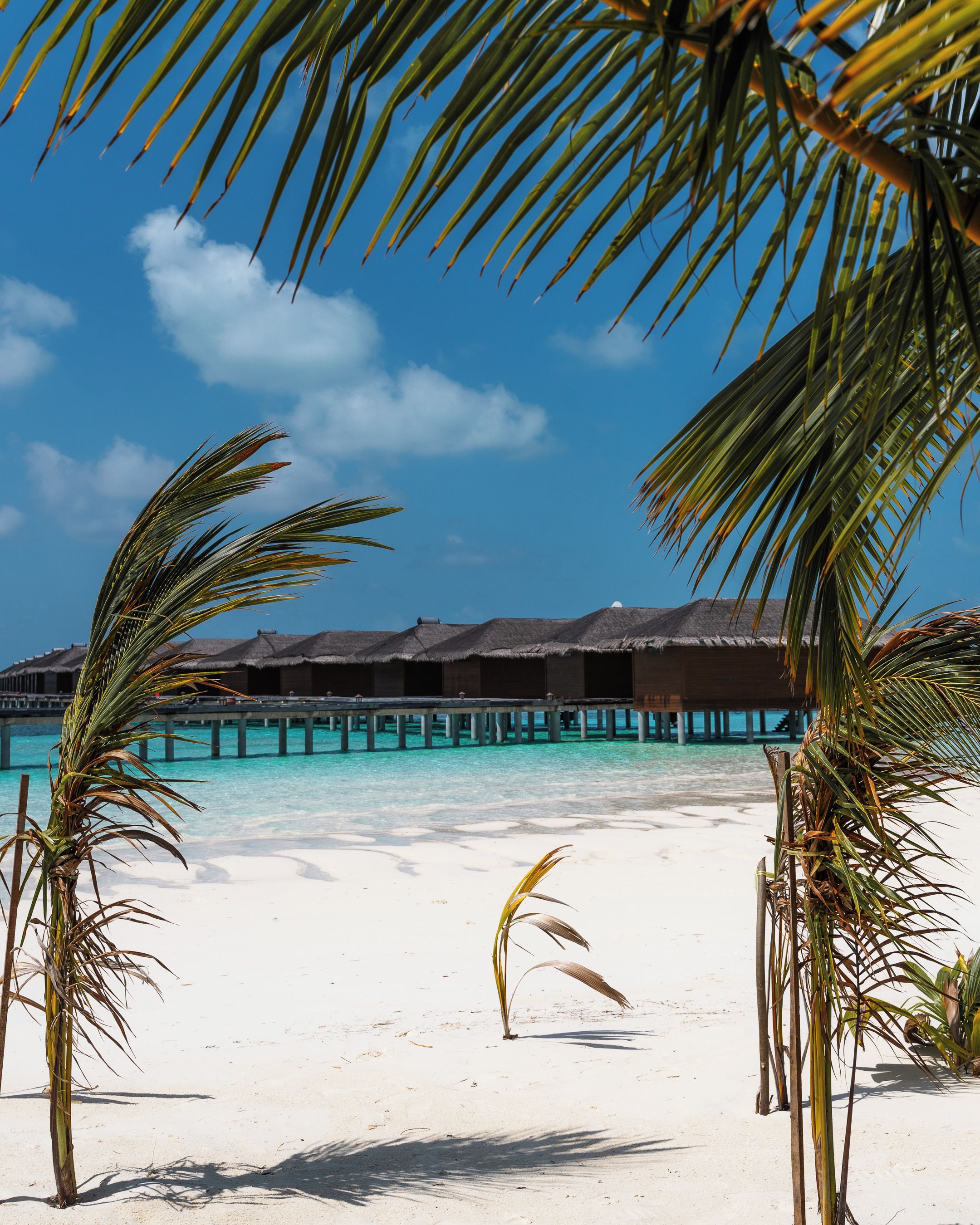 Une plage avec des bungalows sur pilotis et une eau turquoise cristalline.