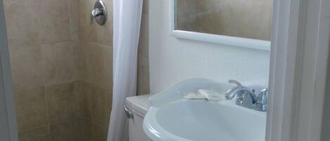 A bathroom with a toilet, a sink, and a shower.