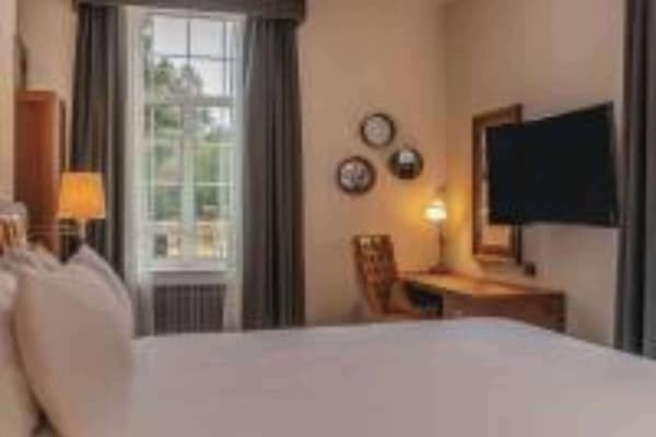 Vista desde la habitación