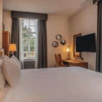 Quarto luxo, vista para o jardim | Vista do quarto