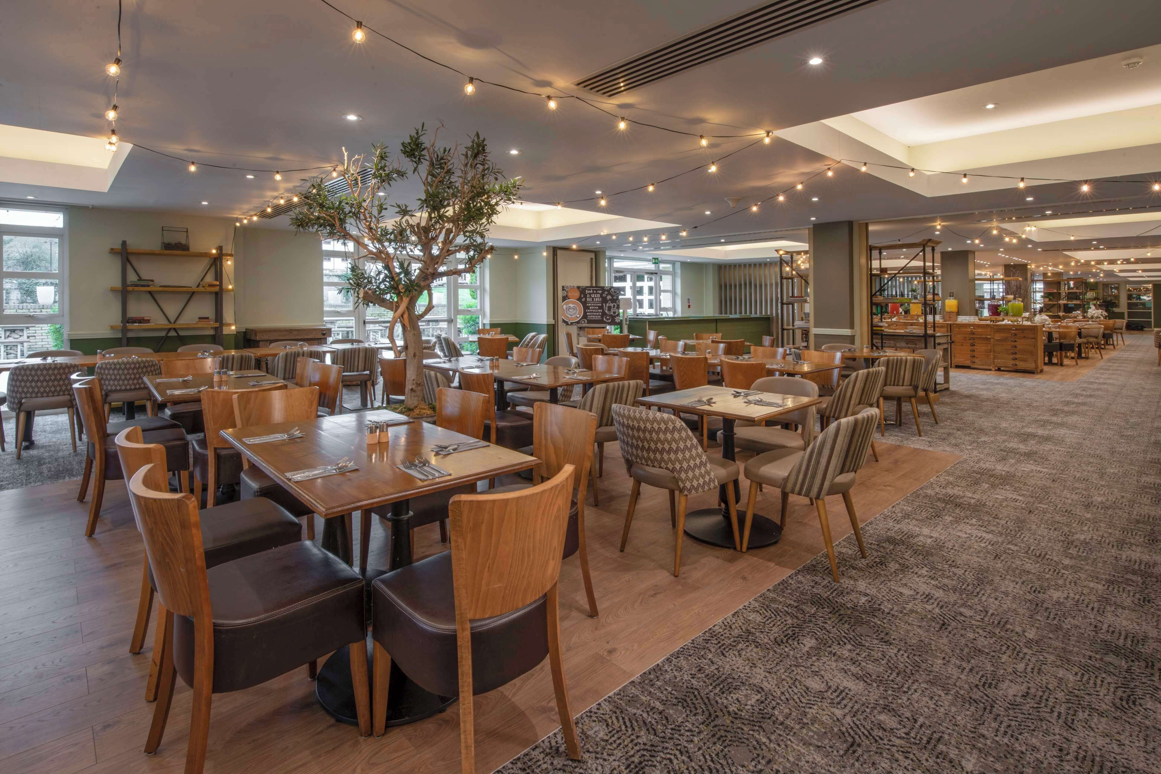 A spacious restaurant with wooden tables and chairs, string lights, and a large tree in the center.