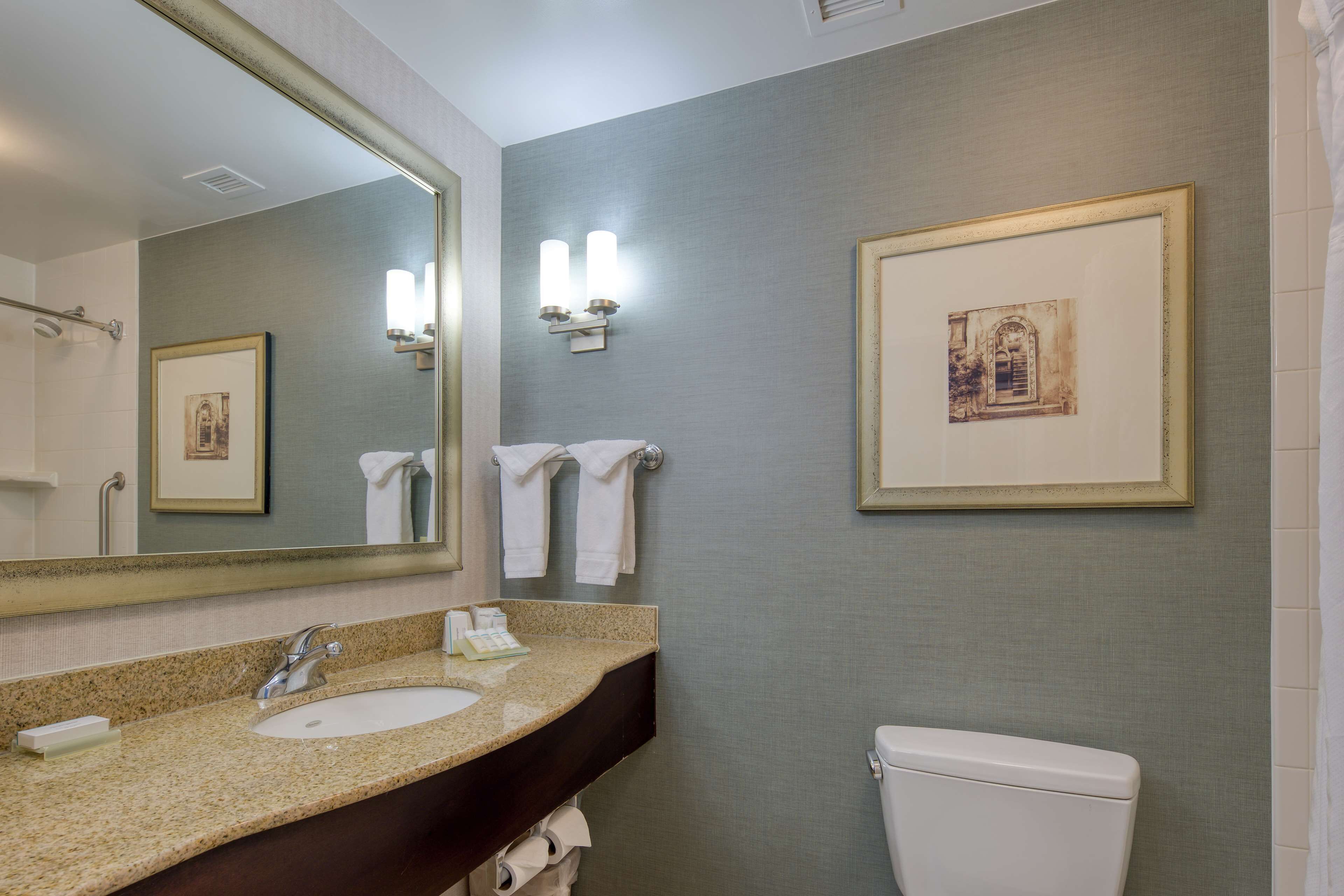 A bathroom with a granite countertop sink, a large mirror, a framed picture on the wall, and a white toilet.