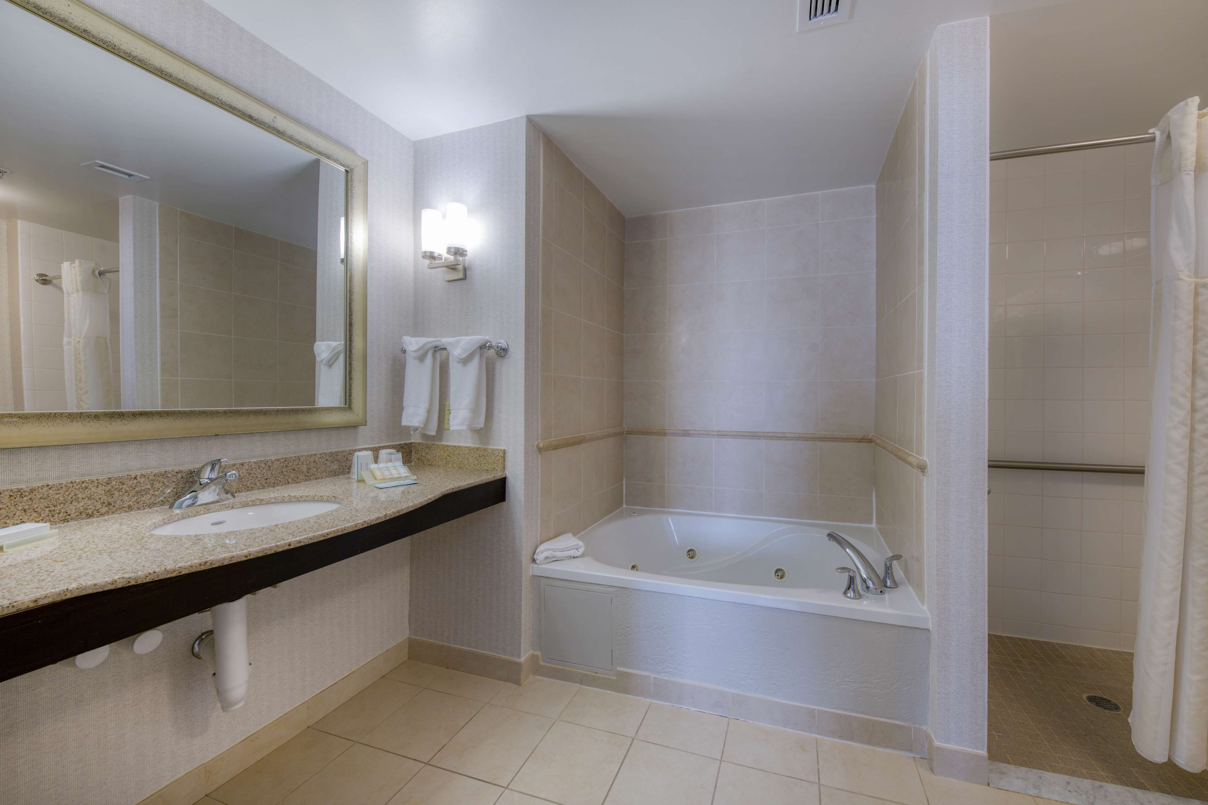 suite, accessible | bathroom | shower, free toiletries, hair dryer, towels