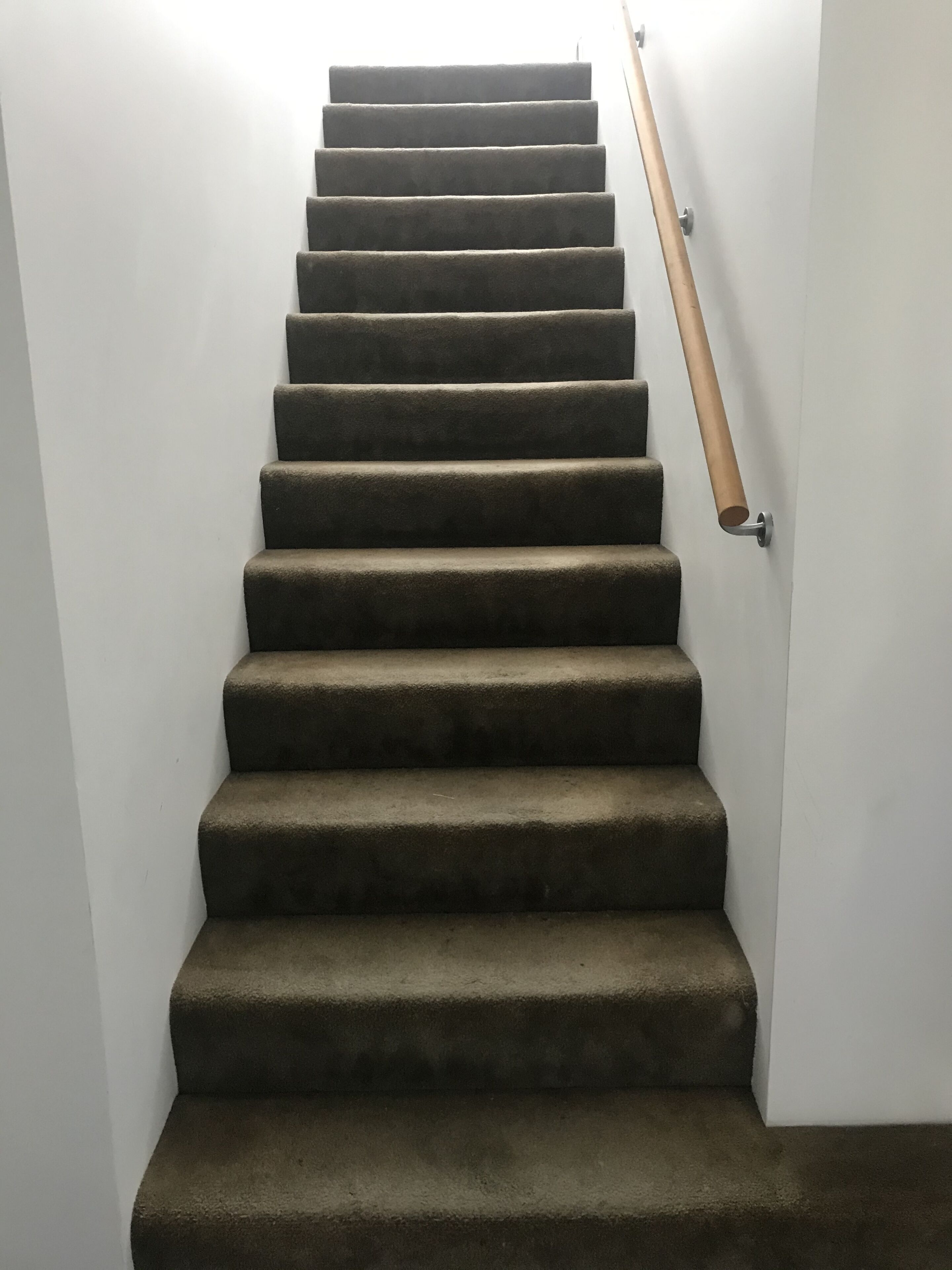 Eine Teppichstufen Treppe mit Handlauf.