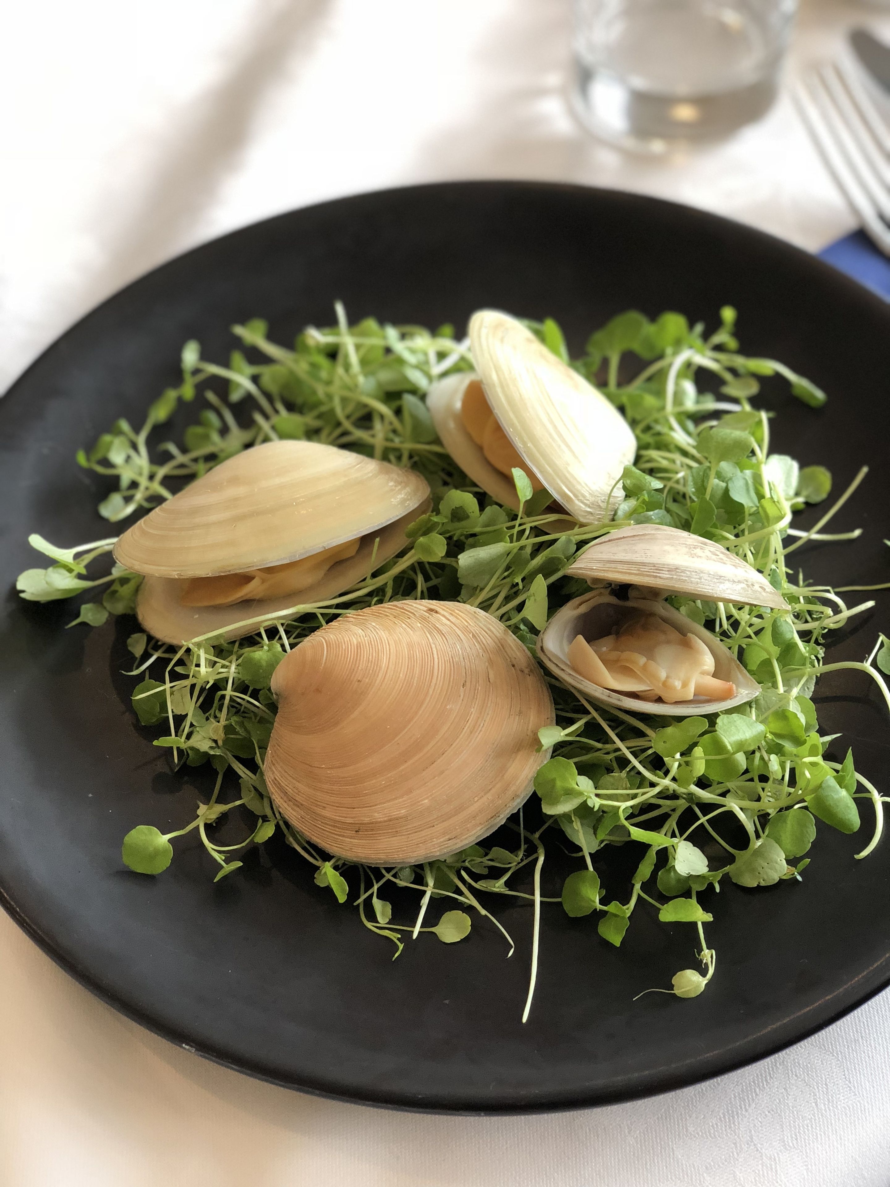 A black plate with clams and green microgreens.