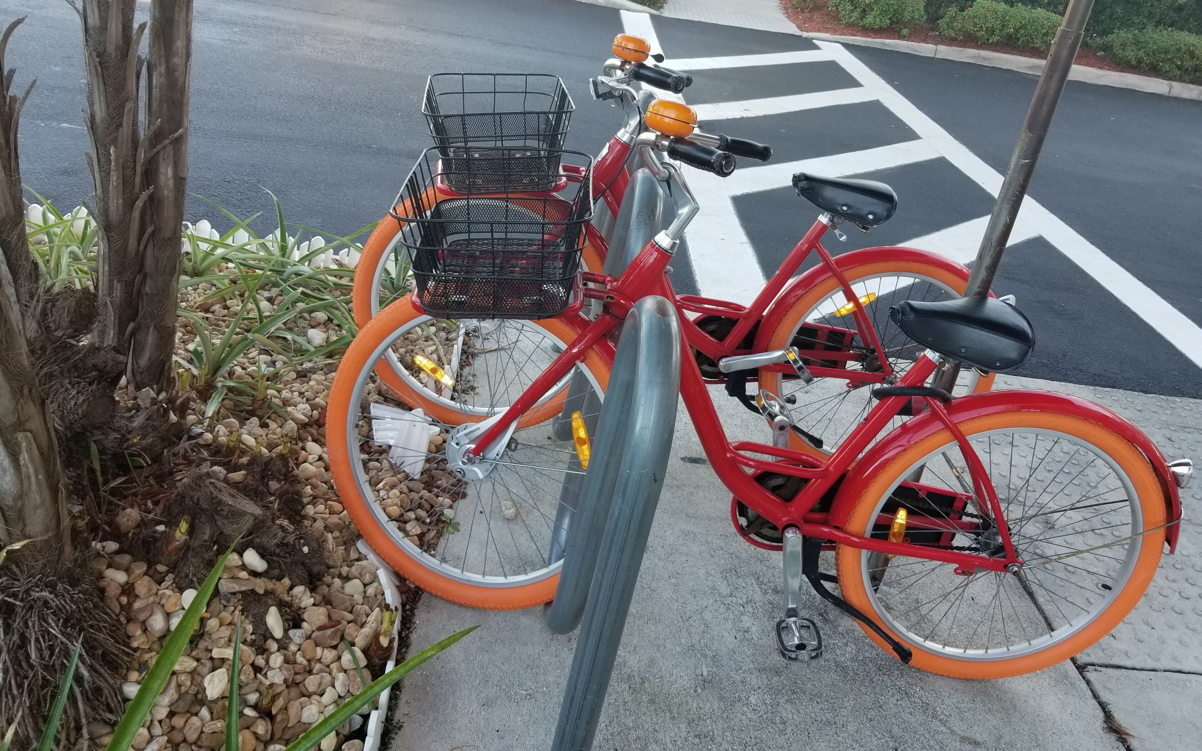 Bicycling