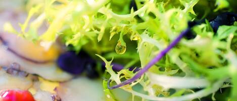 Primer plano de una ensalada con diferentes verduras de hoja y elementos morados.