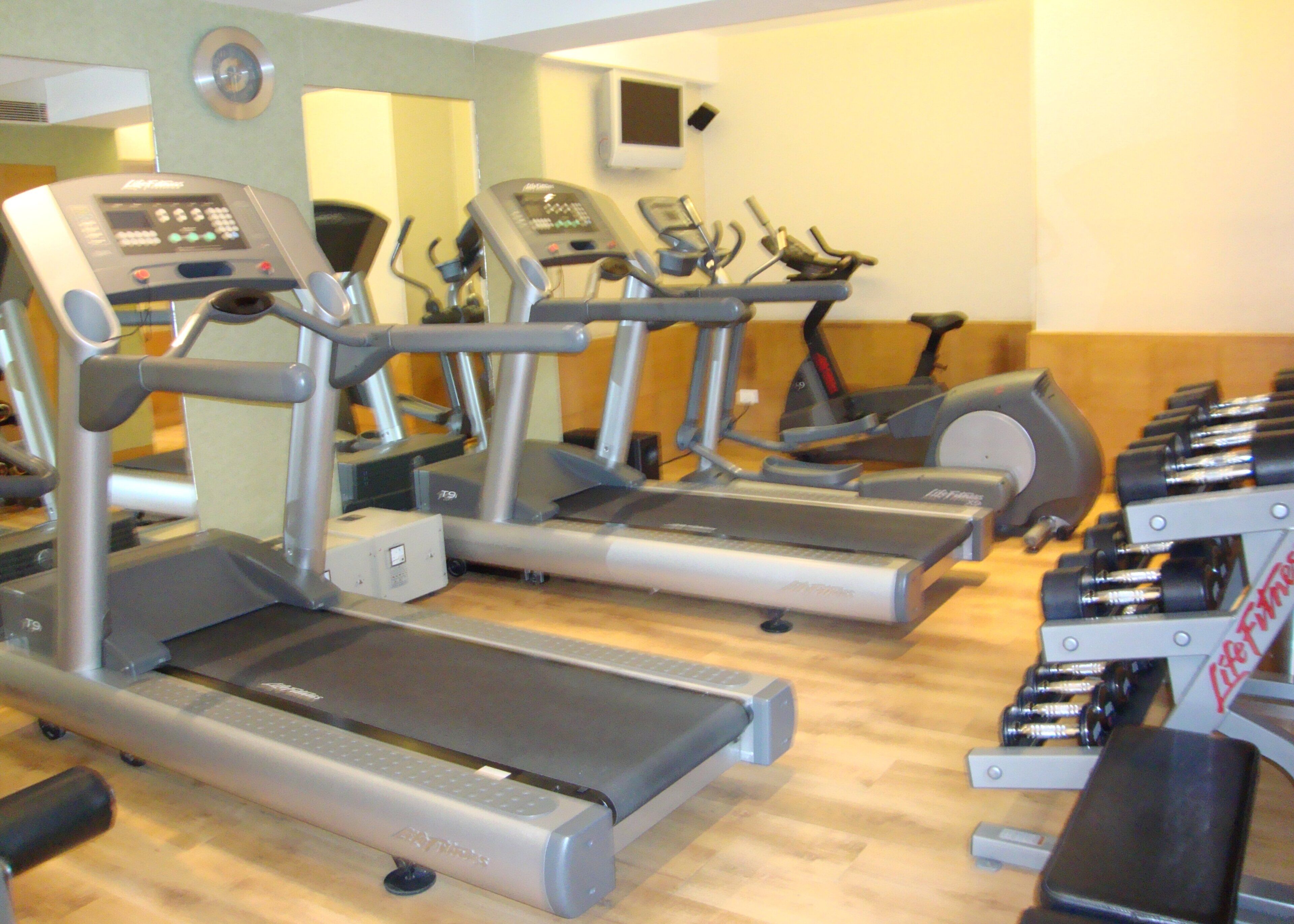 A gym with treadmills, elliptical machines, and weight benches.