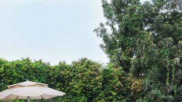 Outdoor pool, pool umbrellas, pool loungers