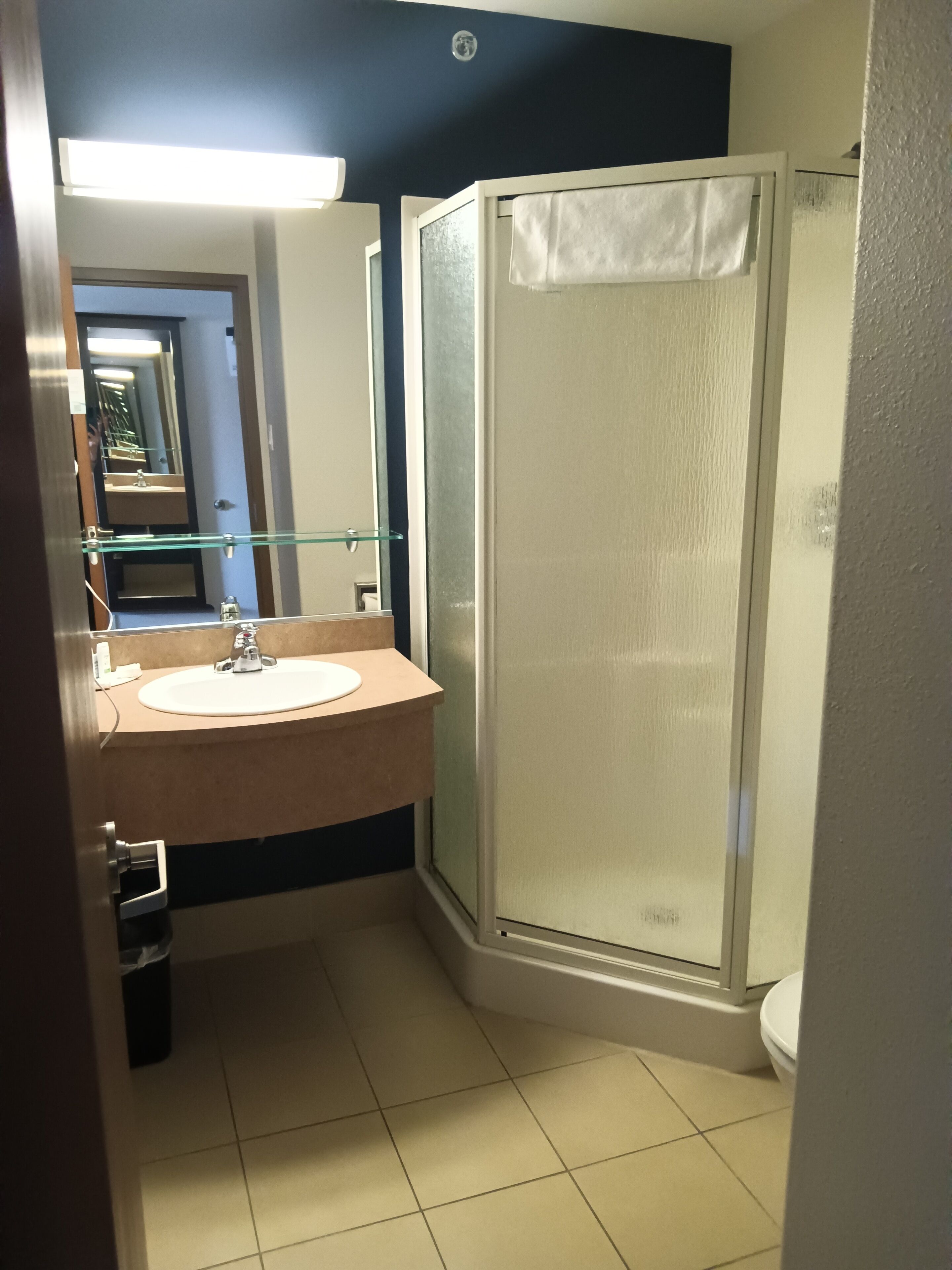 suite, 1 king bed with sofa bed, non smoking | bathroom | combined shower/bathtub, free toiletries, hair dryer, towels