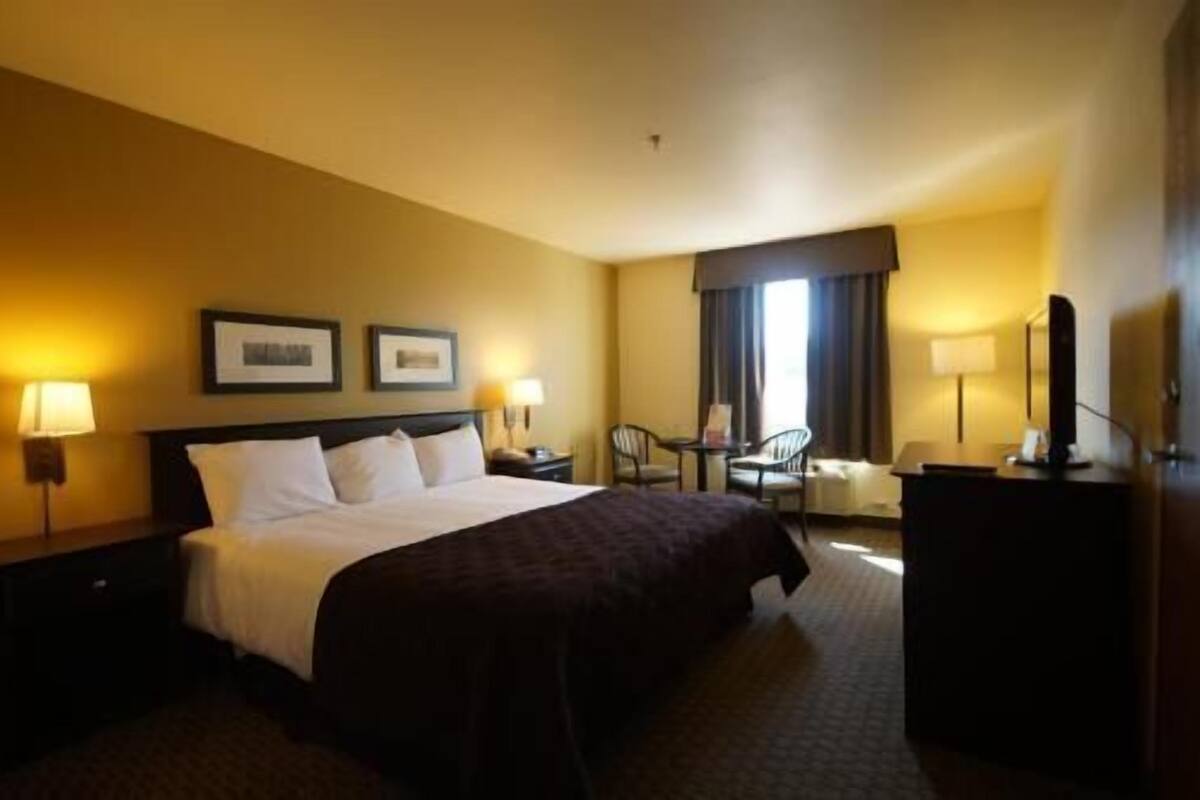 Une chambre d’hôtel comprenant un lit, deux tables de chevet, un bureau avec une chaise, une télévision et une fenêtre avec des rideaux.