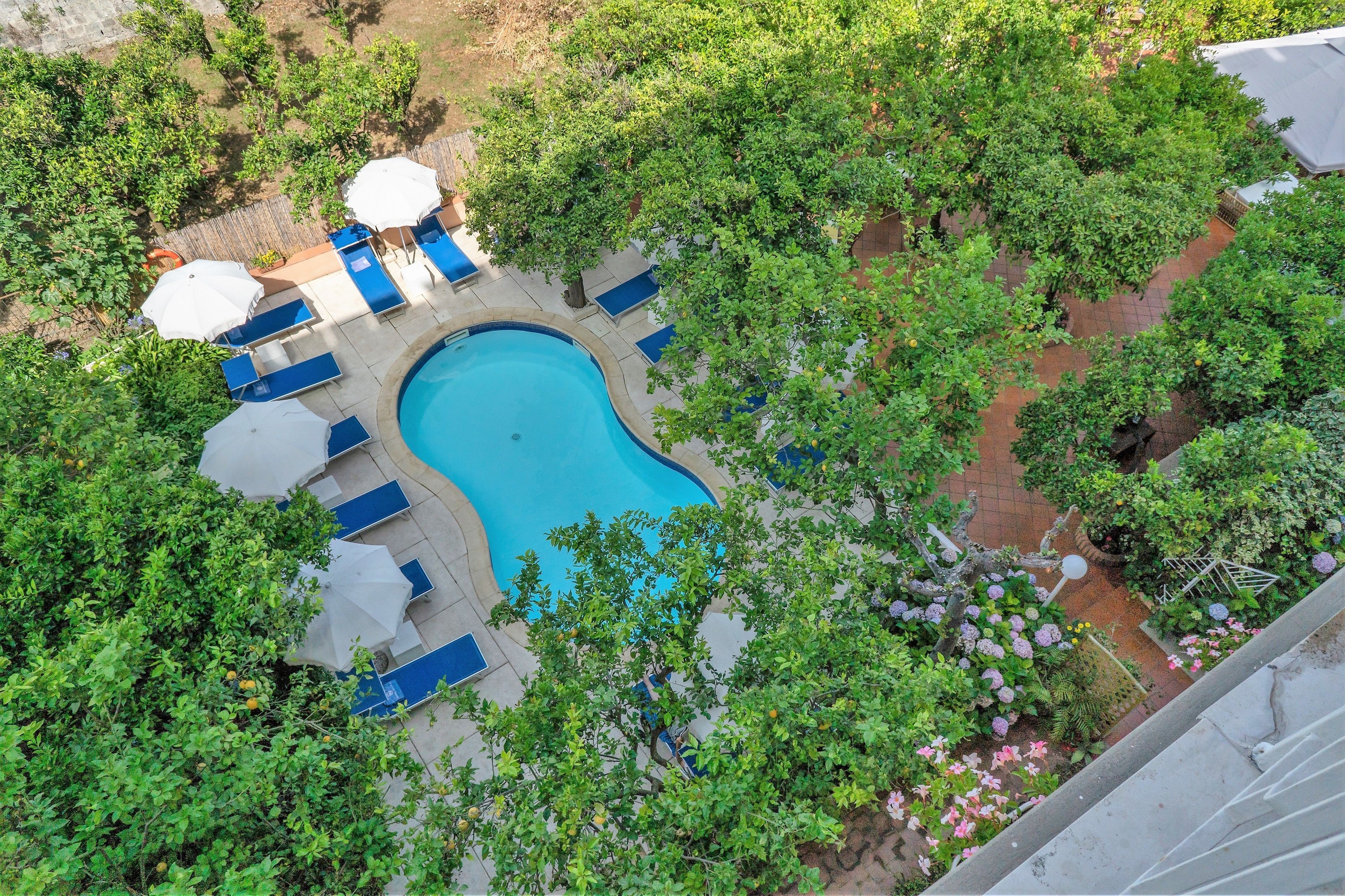 double or twin room, pool view | view from room