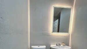 A bathroom with a toilet, sink, and a mirror. - Ladybird Inn (Johnson City)