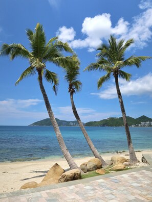 Plage privée, chaises longues, parasols, serviettes de plage