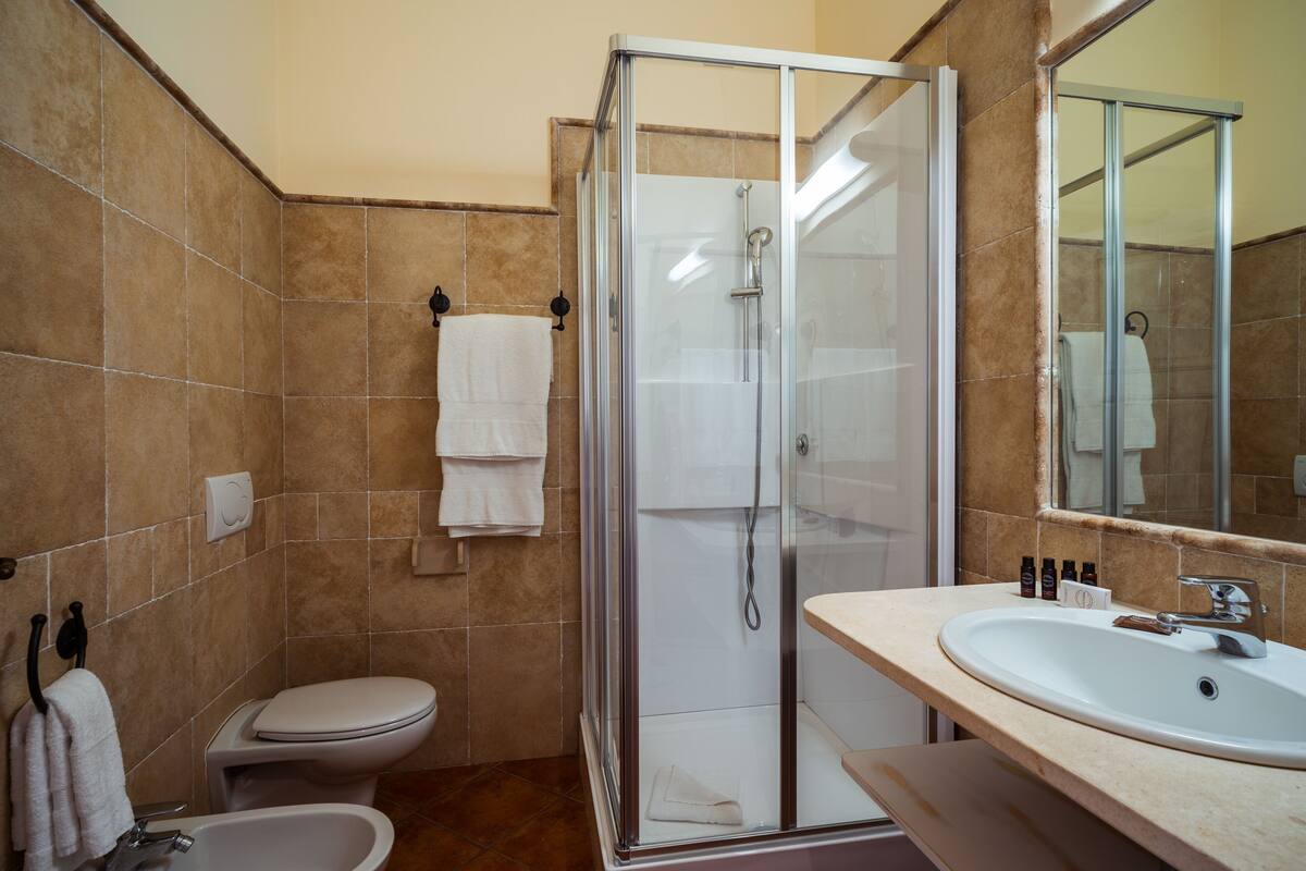 shower, free toiletries, hair dryer, bidet