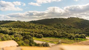 Un paisaje montañoso con una carretera y vegetación.