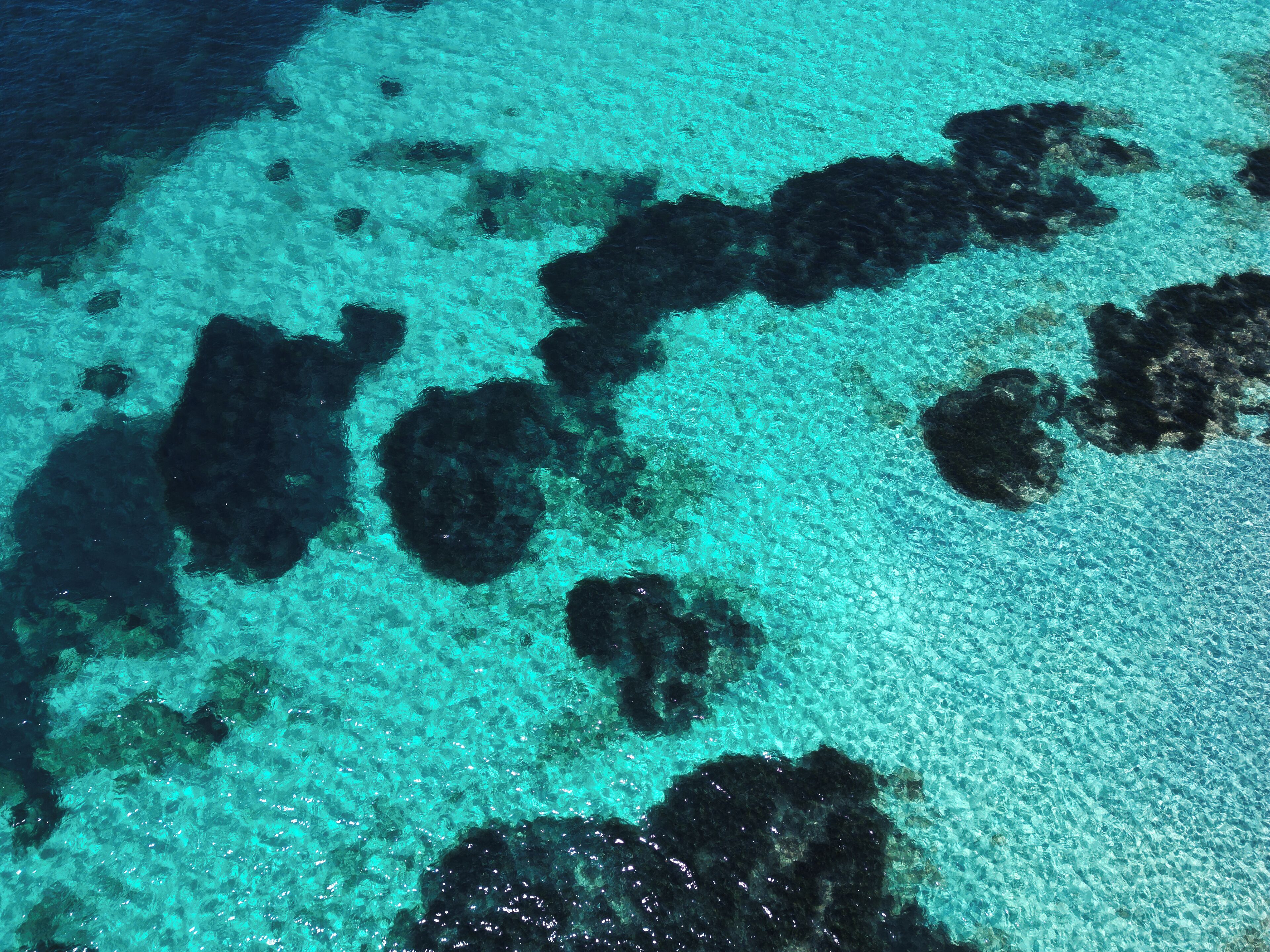A clear view of a beach with visible coral formations and rocks.