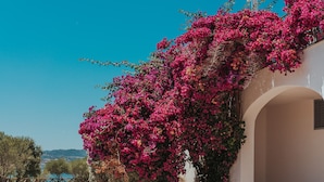 Um edifício branco com um arcojamento branco, trepadeiras de bougainvillea rosa e um céu azul límpido.
