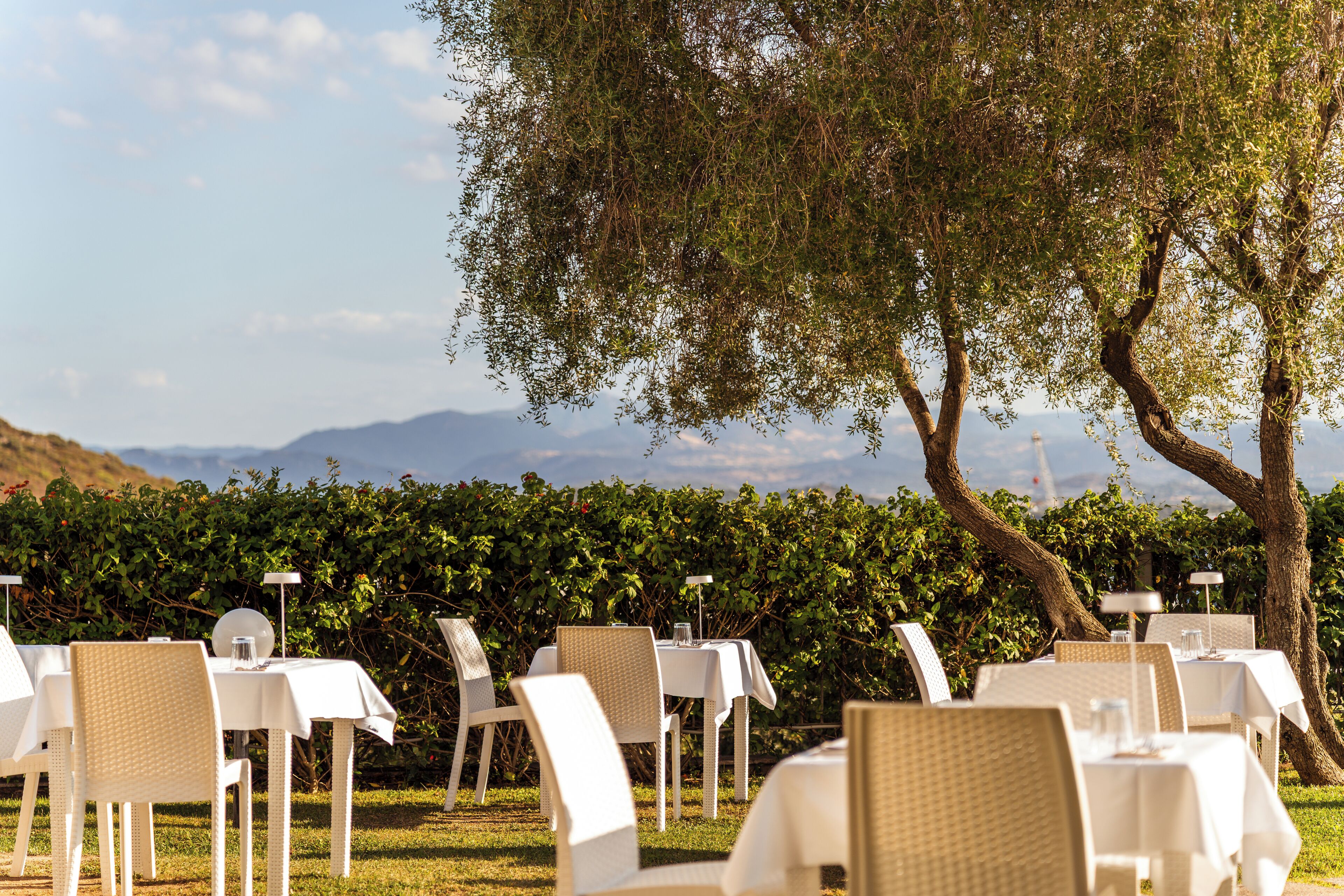 Un espace repas avec des tables et des chaises blanches, agrémenté d’une végétation luxuriante et offrant une vue sur des montagnes lointaines.