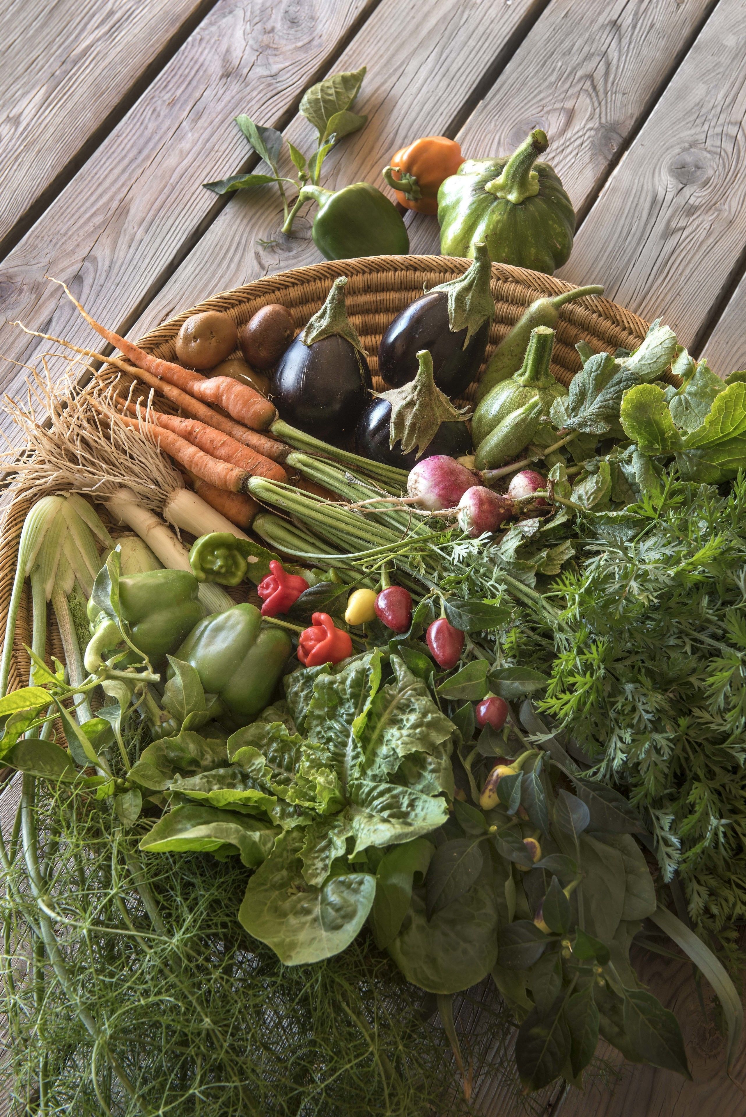lunch and dinner served, fusion cuisine