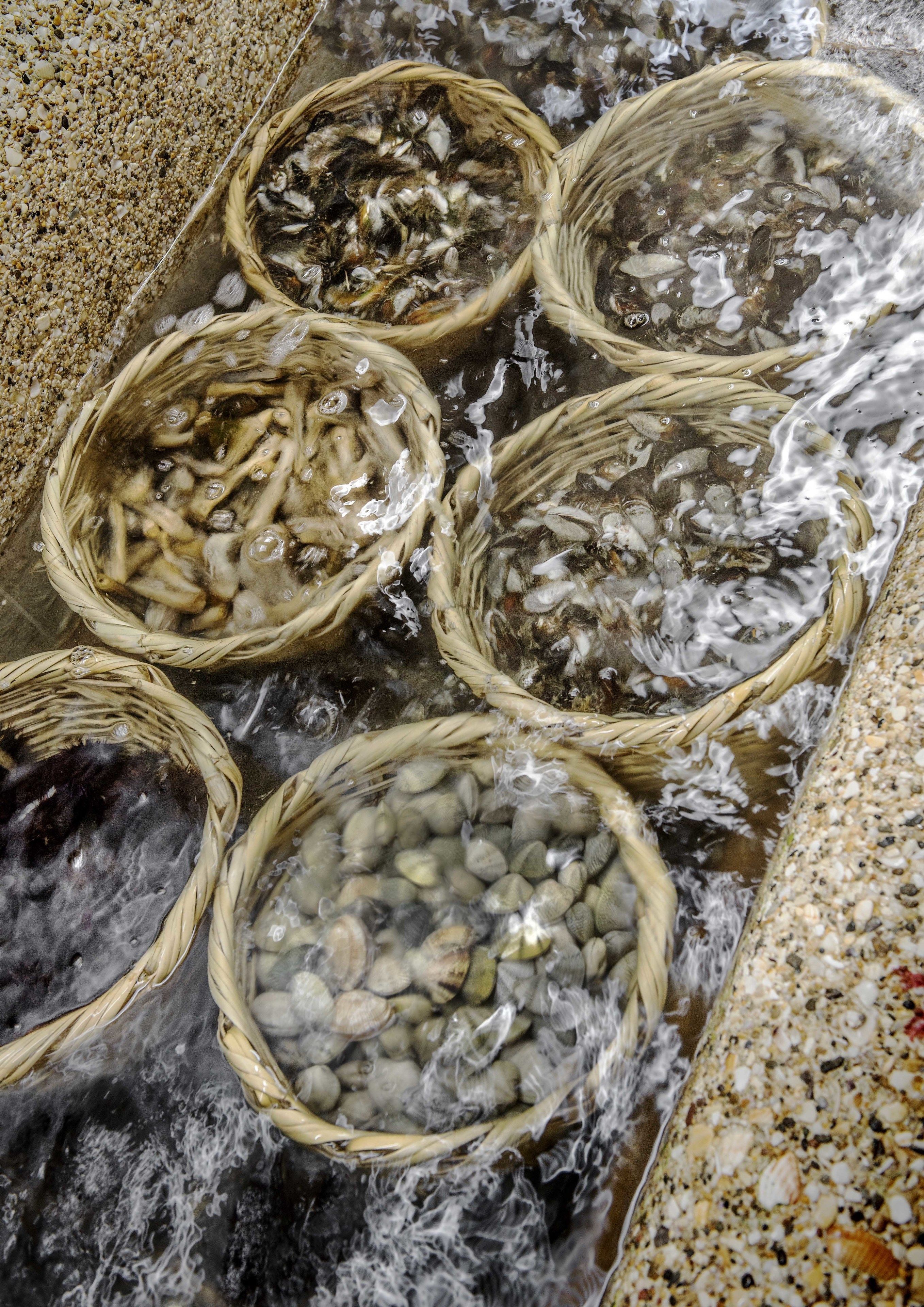 lunch and dinner served, fusion cuisine