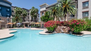 A swimming pool with a curved design, surrounded by palm trees and pink flowering bushes. - Staybridge Suites Phoenix - Glendale Sports Dist by IHG (Glendale)