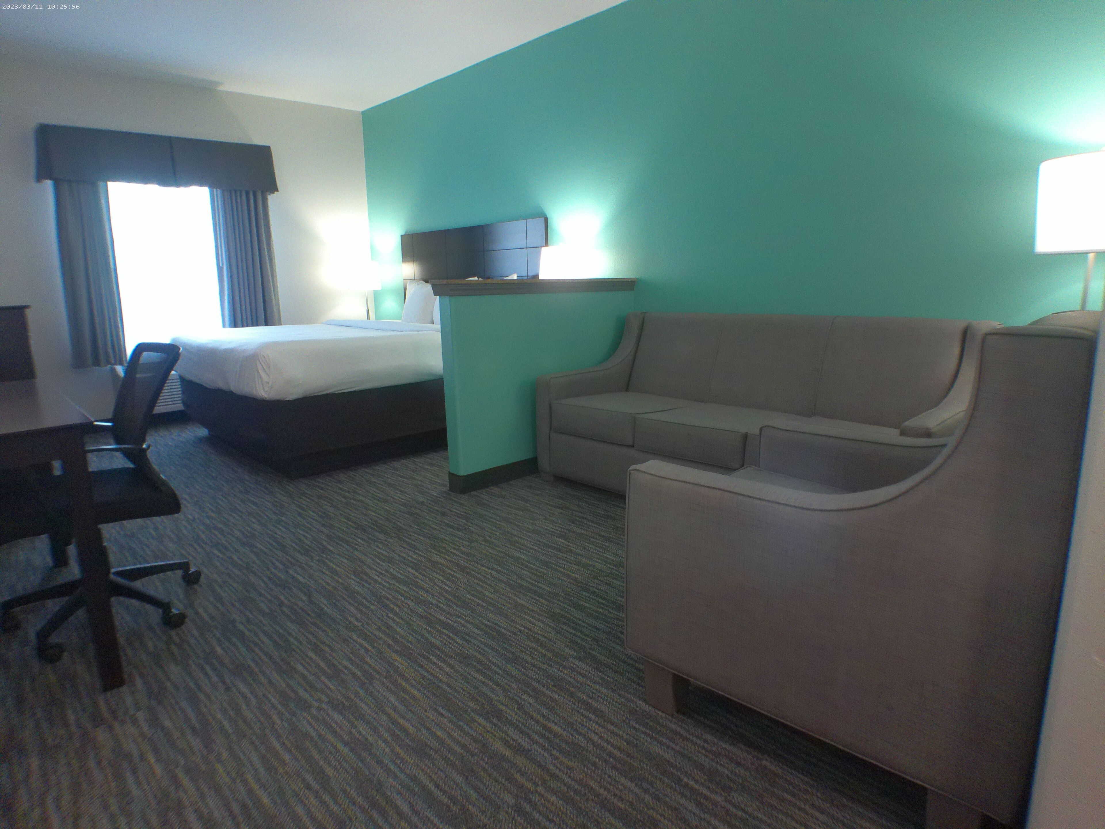 Une chambre d’hôtel avec un lit, un canapé, un bureau et une chaise.