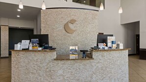 Un mostrador de recepción con diseño de luna creciente, folletos informativos y un dispensador de pañuelos.
