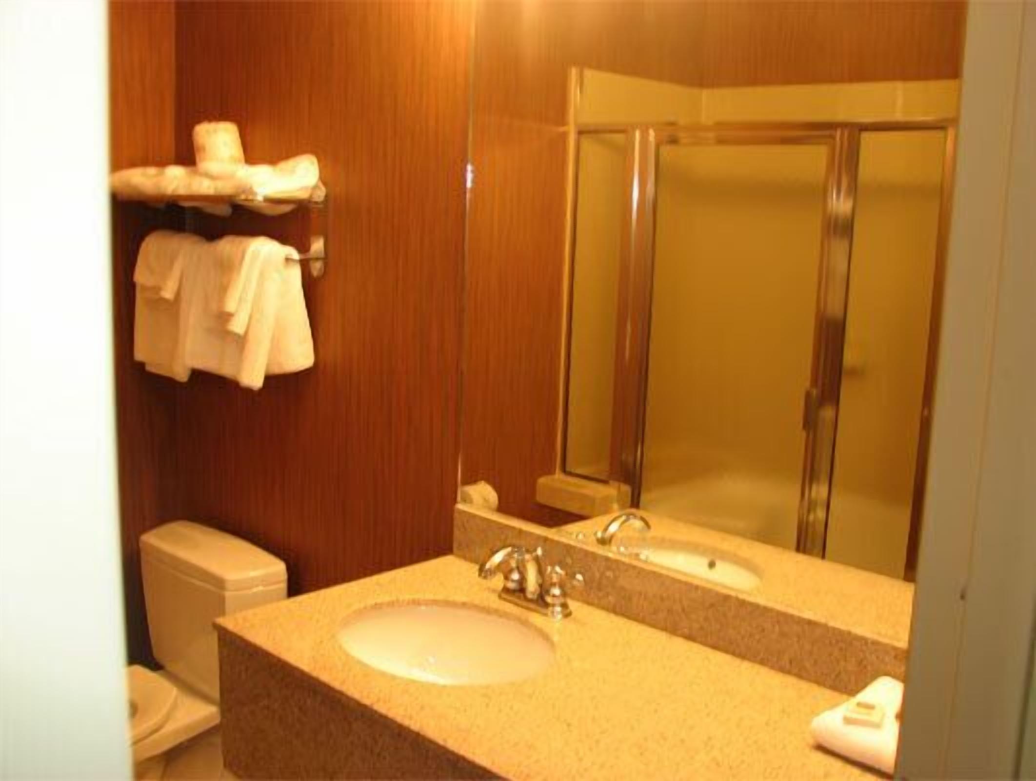 combined shower/bathtub, free toiletries, hair dryer, towels