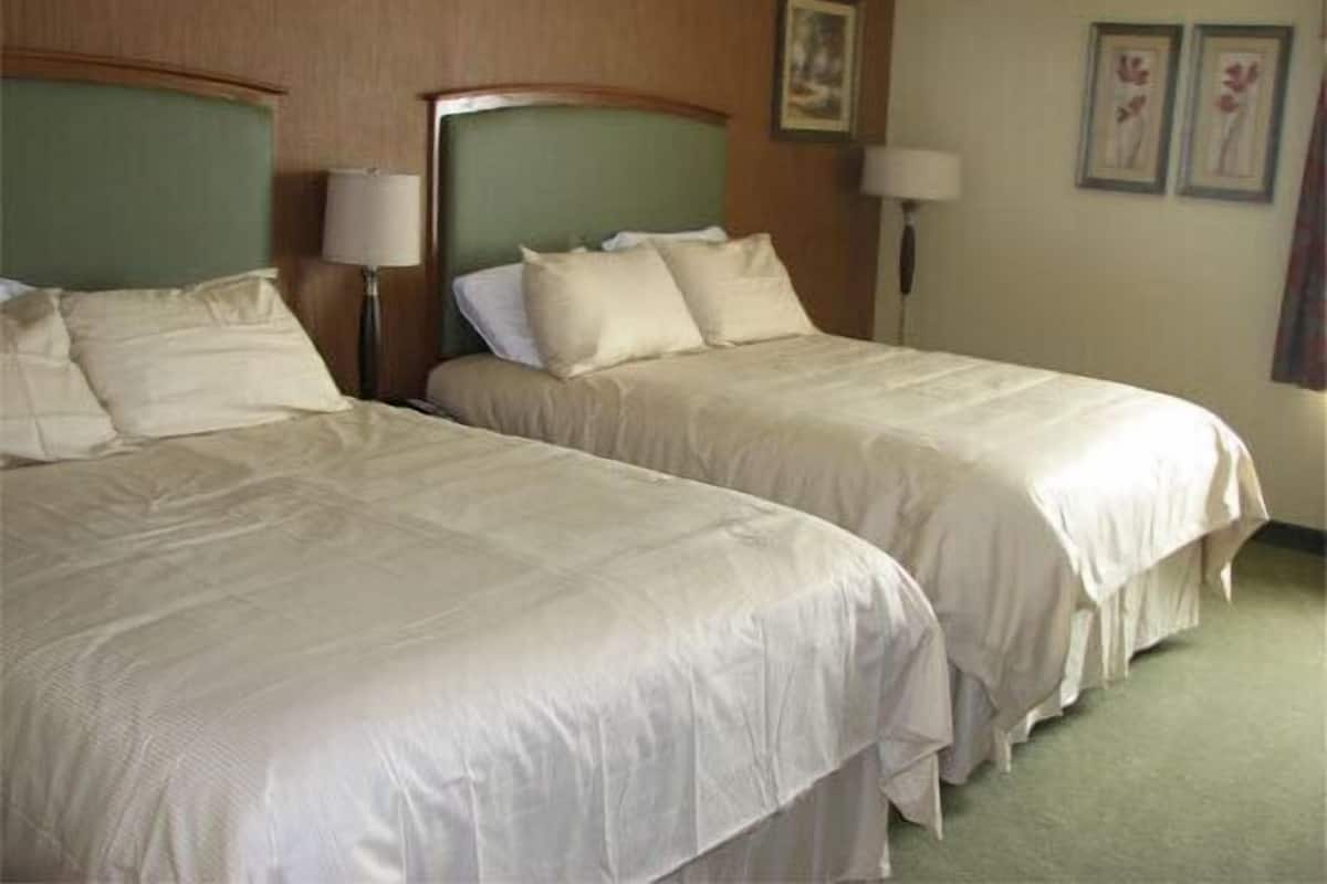 A hotel room with two beds, a nightstand with a lamp, and a wall with framed pictures.