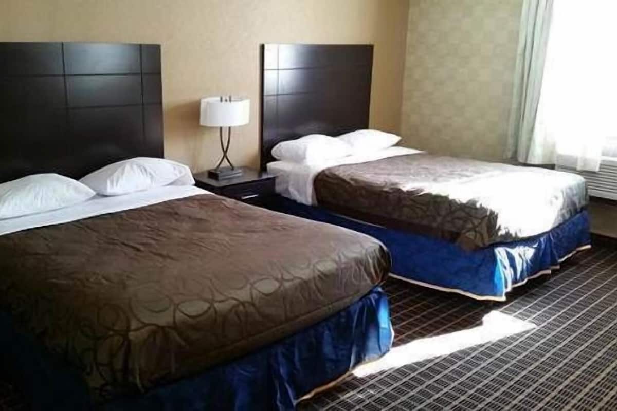 Two beds with headboards, a bedside lamp, and a patterned carpet.