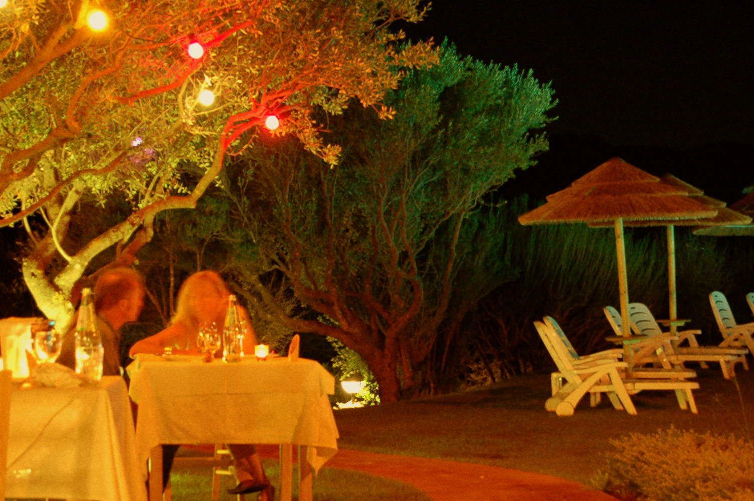 Un espace extérieur aménagé pour les repas, avec des tables et des chaises, un arbre et un parasol en chaume.